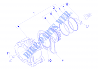 Einheit Zylinder Kolben Kolbenbolzen für PIAGGIO X Evo Euro 3 2015